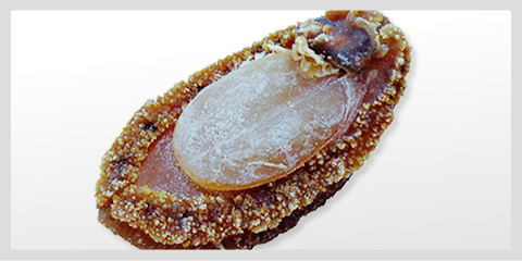 Dried Abalone