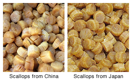 Difference between Scallops from China & Japan