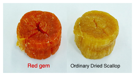 Red gem  Ordinary Dried Scallop