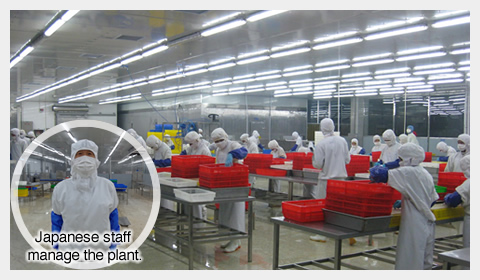 Japanese staff manage the plant