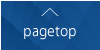 Pgaetop